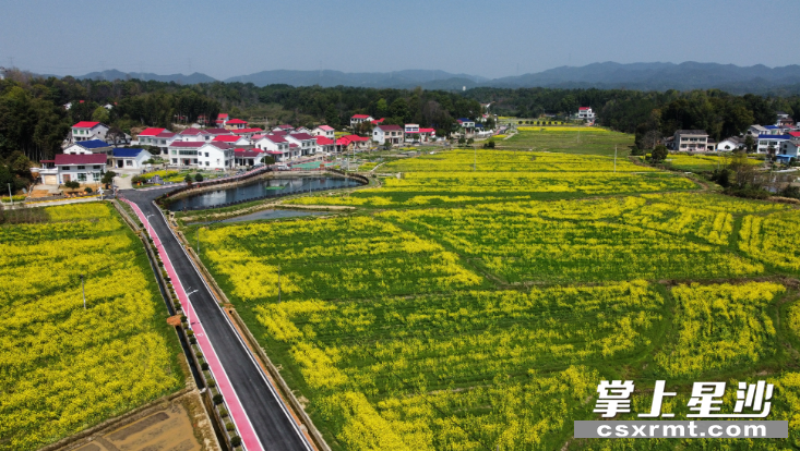 湘丰片区美丽宜居村庄鸟瞰图。王箫 摄