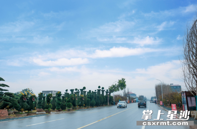 车辆沿着“木槽门-湖元组”农村路进出，极大带动黄兴镇苗木产业发展。