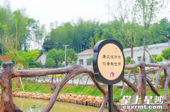 清廉标语随处可见。