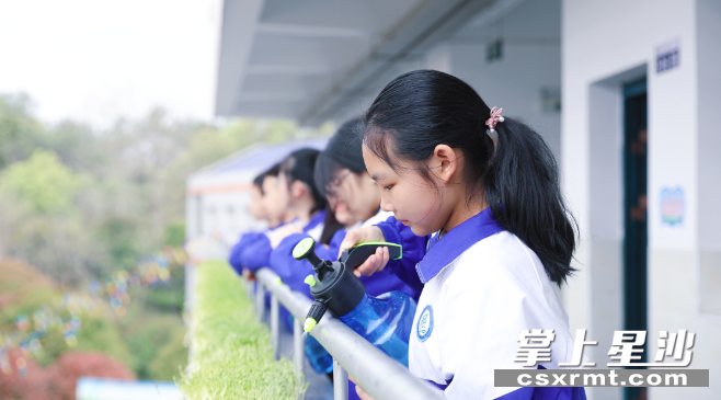 学生每天利用课余时间给豆芽浇水。