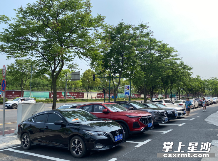 东六路和特立路东南角新划定的停车位。 刘思源 摄