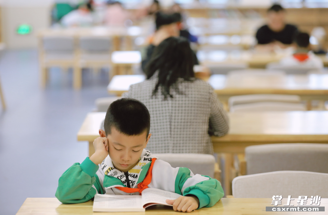 学生自由翻开一本书，享受文字之旅。