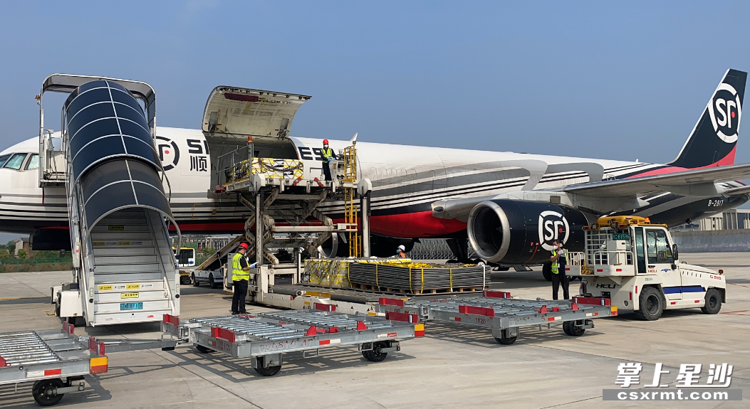 首批菲律宾榴莲抵达长沙。长沙自贸临空区供图