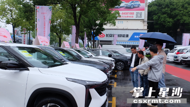 图为市民在中南汽车世界新车特卖会现场看车。