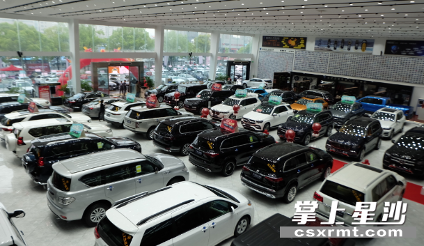 现场购车福利享不停。均为李丹 摄