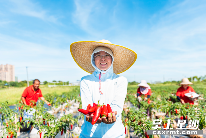 吴艳华手捧光皮辣椒。刘思源 摄