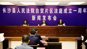 成立一周年，湖南首个自贸片区法庭审结各类民商案件1817件