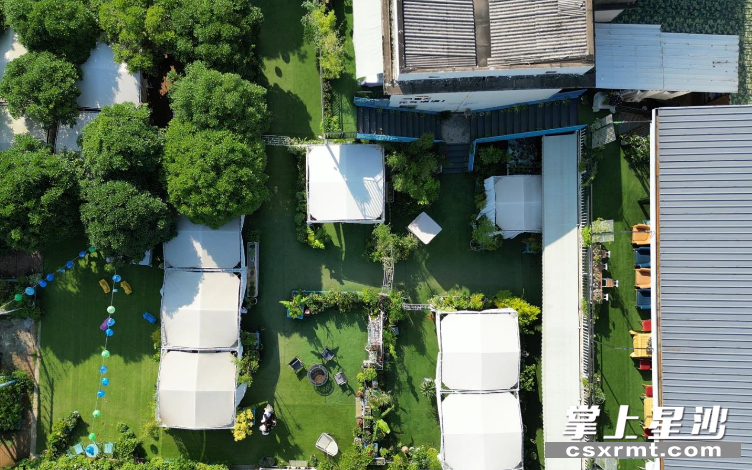 芭蕉熊半山坡生态农场主打轻奢团建、手作体验、香草料理、花园农场，占地16亩。 林畅 摄