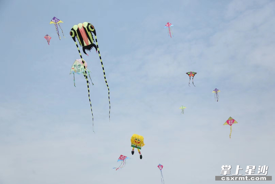 各式各样的风筝在天空中“筝”奇斗艳。