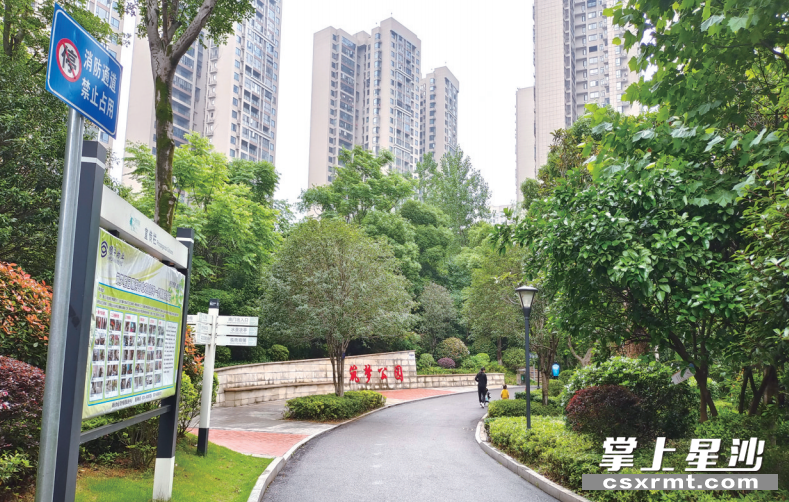 筑梦星园小区内绿树环绕、景色优美。吴涛 摄