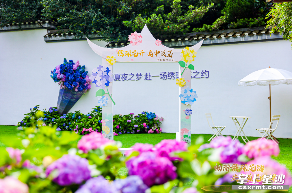 绣球花状元亭拍照打卡地。