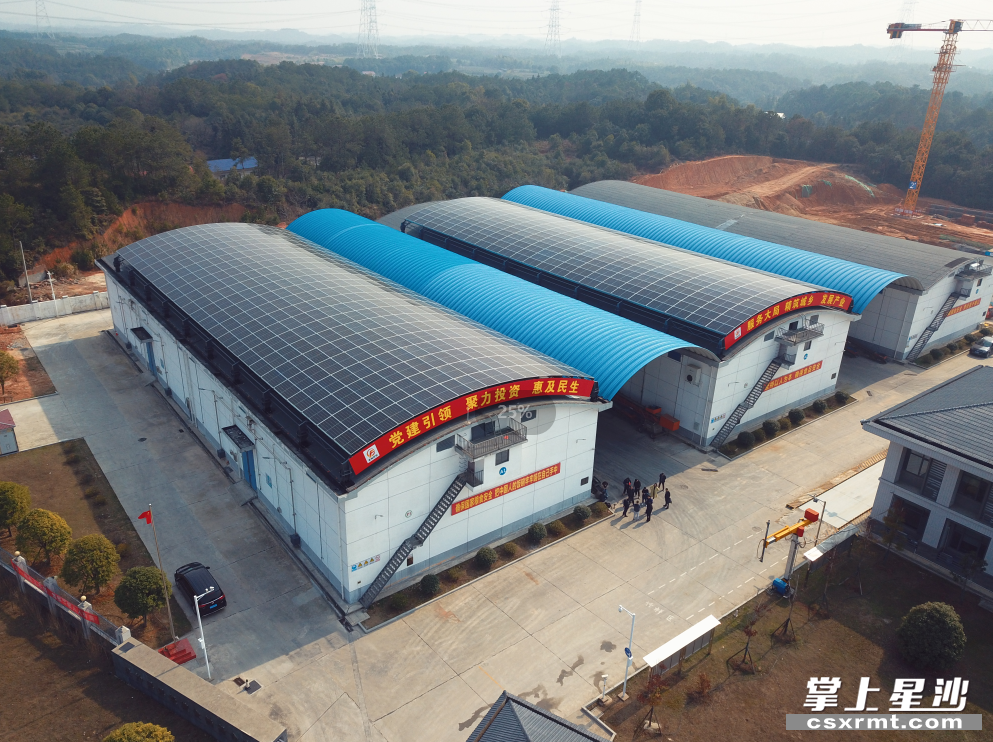 夏日太阳高照,在长沙县县级粮食储备库(路口),一排排光伏板在粮食仓库