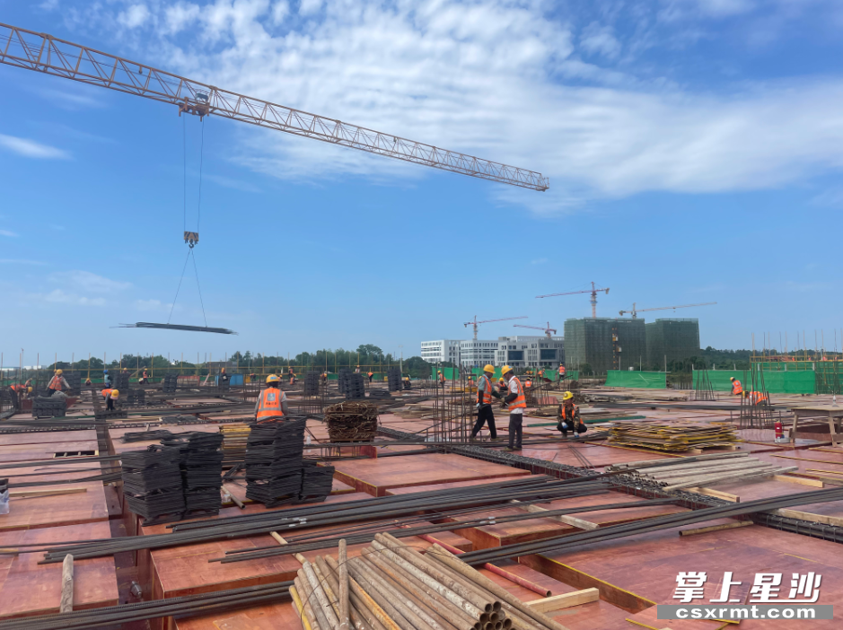 项目现场。均为 项目施工方 供图