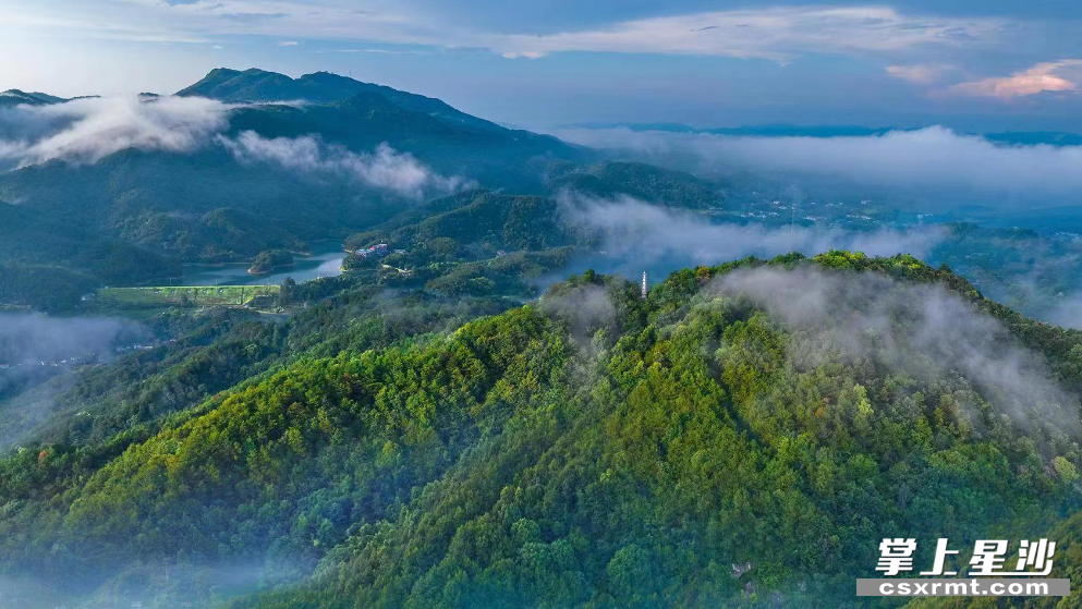 天华山风景秀丽,绿树苍翠,仿若一幅生态画卷,被评为国家4a级旅游景区.
