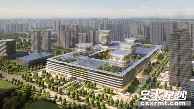 长沙经开区区块链产业园项目“天空下的五朵云”效果图。园区 供图