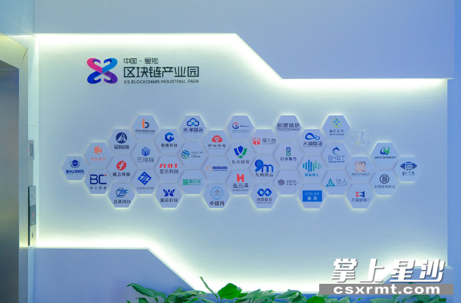 星沙区块链产业园部分企业及机构照片墙。园区 供图