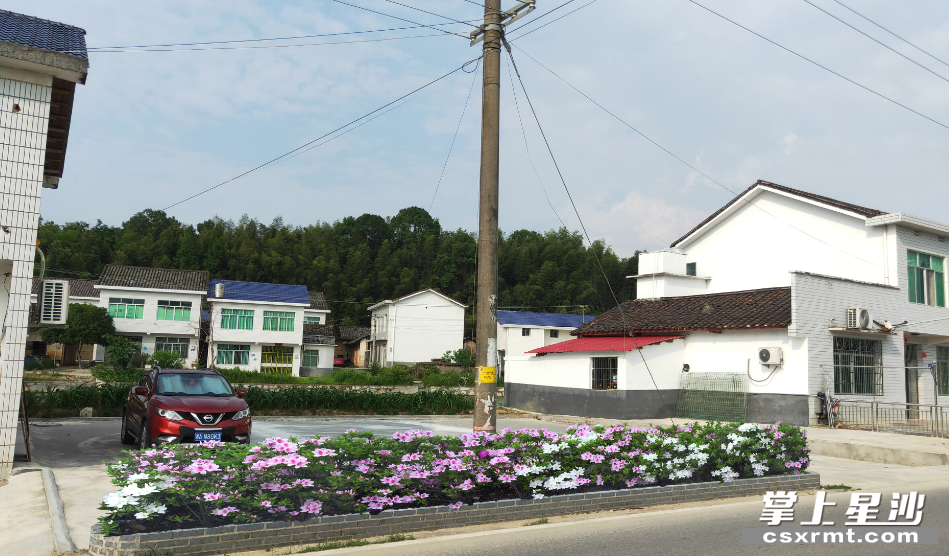 改造后的小花园内干净整洁,蓝天白云下显得格外敞亮。 改造后的小花园内干净整洁,蓝天白云下显得格外敞亮。