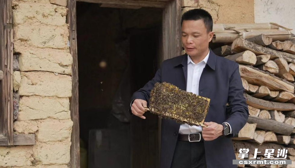 长沙县红花蜜蜂养殖专业合作社负责人谭创明在农户家中进行技术指导。