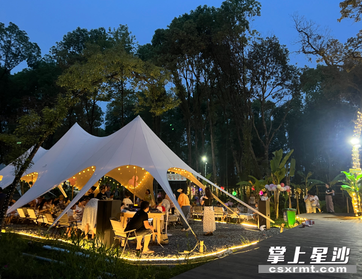 当夜幕降临，野奢营地时光音乐会在森林中拉开序幕，游客坐在天幕下欣赏。