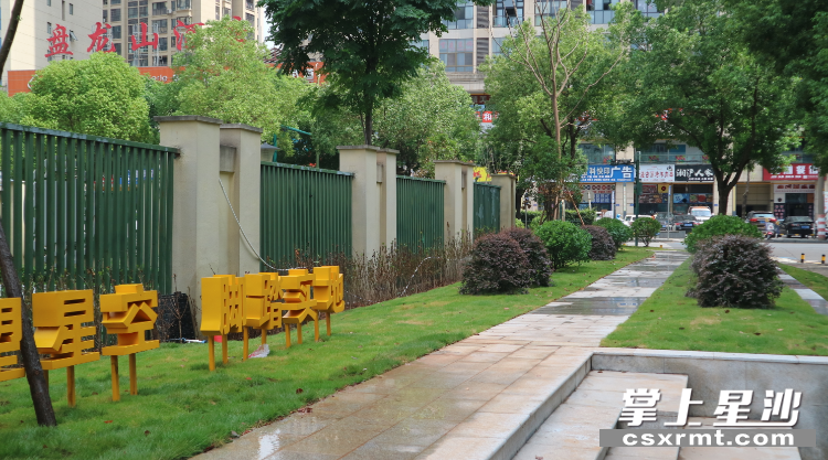 长沙县城管局对寿昌路、向阳路等街巷提质绿植，美化环境。
