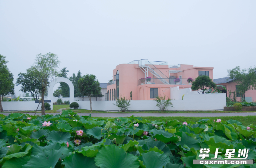 开在花果湿地公园旁的“叁山与肆”民宿，因其独具特色的设计风格和周边游玩体验，受到游客一致好评。章帝 摄