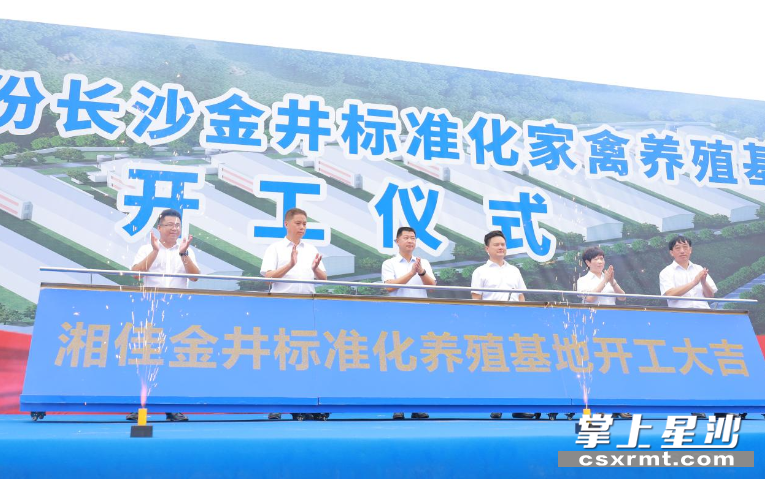 湘佳牧业金井标准化养殖基地项目正式开工。王箫 摄