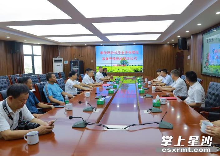 图为签约仪式现场。王箫 摄