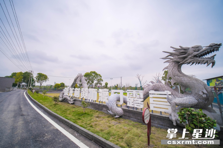 汇佳隆欢乐园里还打造了露营基地，成为乡村游的又一好去处。章帝 摄