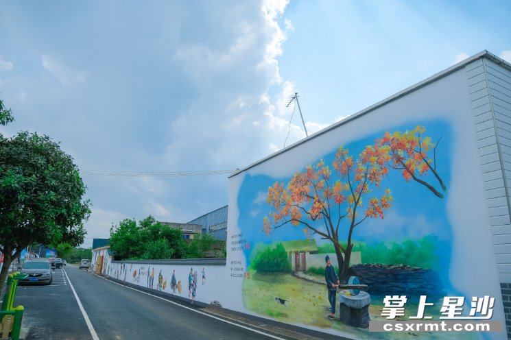 如今，漫步在银龙村，一步一景色，满目乡村好风光。章帝 摄