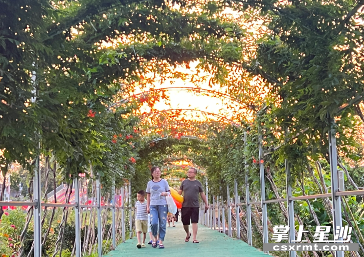 每逢节假日和周末，银龙村人气爆棚，不少村民在家门口吃上“文旅饭”。梁焕鑫 摄