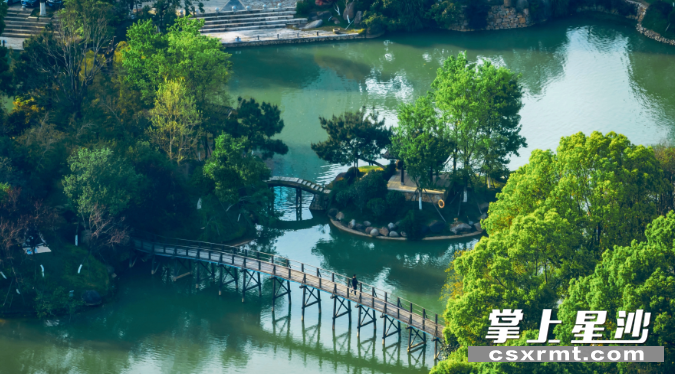 龙喜水乡投资近4000万元改造杨梅湖生态环境。