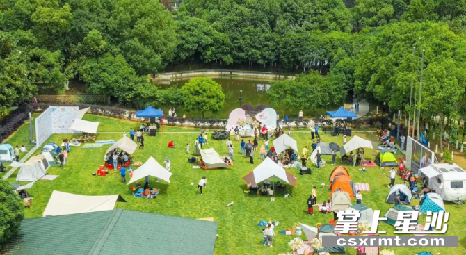 龙喜文化发展乡村旅游，日均游客可达3000余人次，带动村民共同致富。