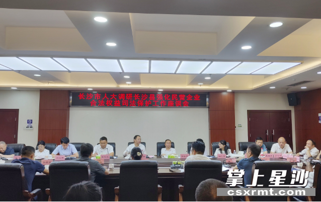 座谈会现场。