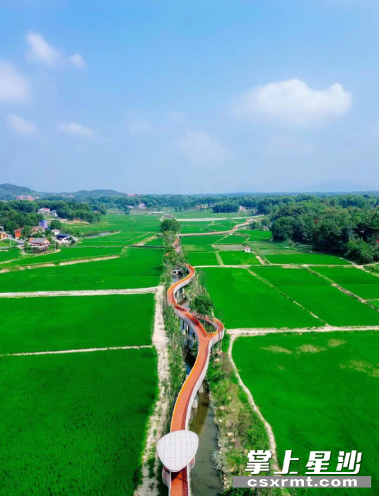 图为行竣工验收完的空中旅游步道。