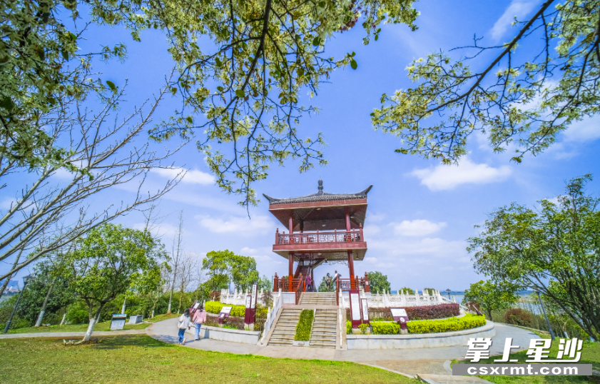 游客在湿地观鸟亭游览。