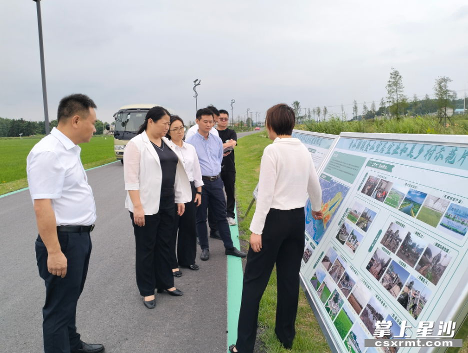 图为考察现场。 图为考察现场。