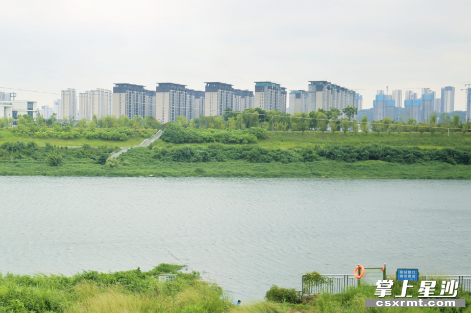 敢胜垸防洪堤整治工程基本完成建设。吴俊贤 摄