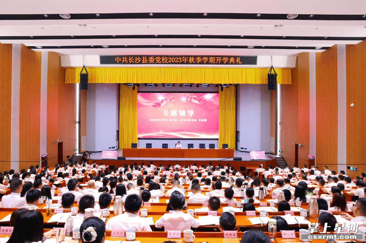 专题辅导现场。均为曾诗怡 摄 专题辅导现场。均为曾诗怡 摄