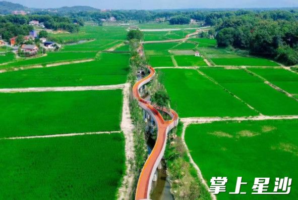 步入游步道，可见田园风光。