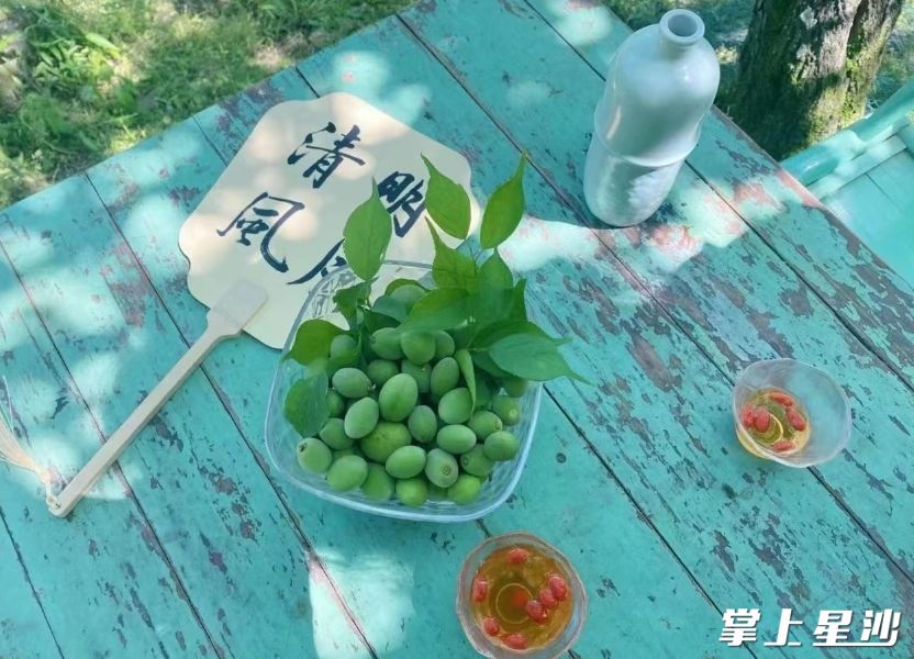 图为北山镇青梅煮酒。