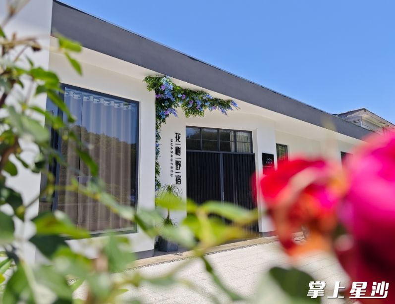图为开慧镇花树野宿。