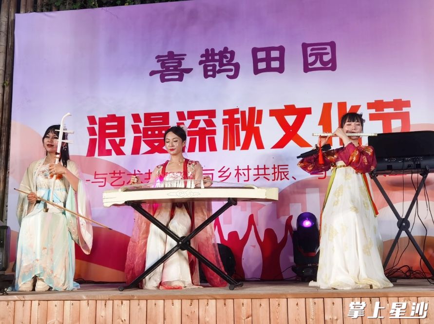 浪漫的古琴演奏。黄兴镇 供图