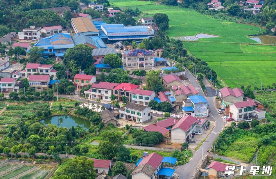金江新村鸟瞰图。均为果园镇供图