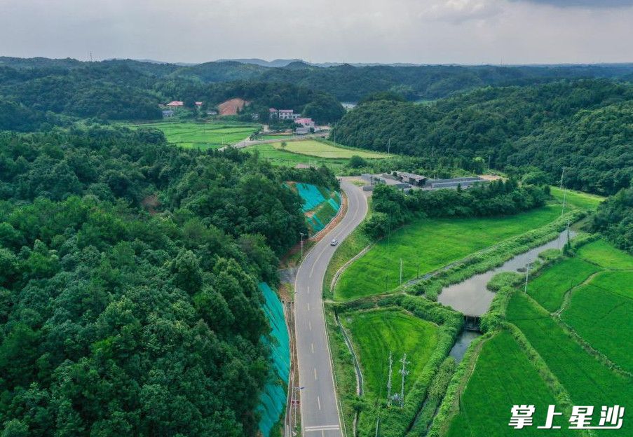 新明村整洁宽敞的道路两旁，满眼青葱。