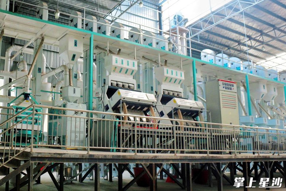 新明村有机大米加工厂房建设项目。