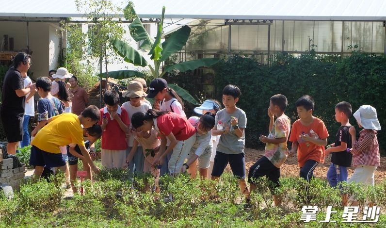 孩子们在飘峰山庄探索大自然。开慧镇供图