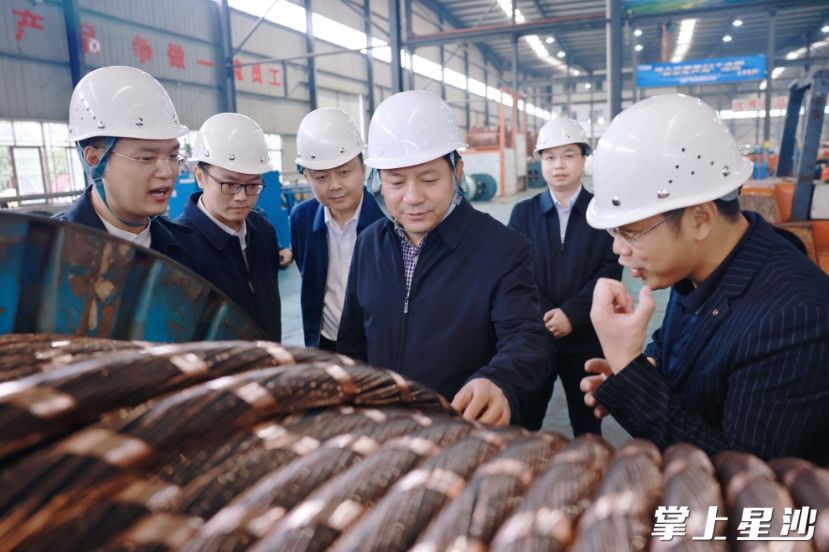 调研现场。董坤 摄 调研现场。董坤 摄