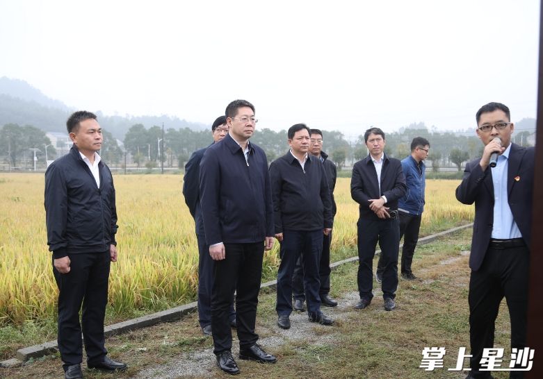 调研现场。杨源 摄 调研现场。杨源 摄