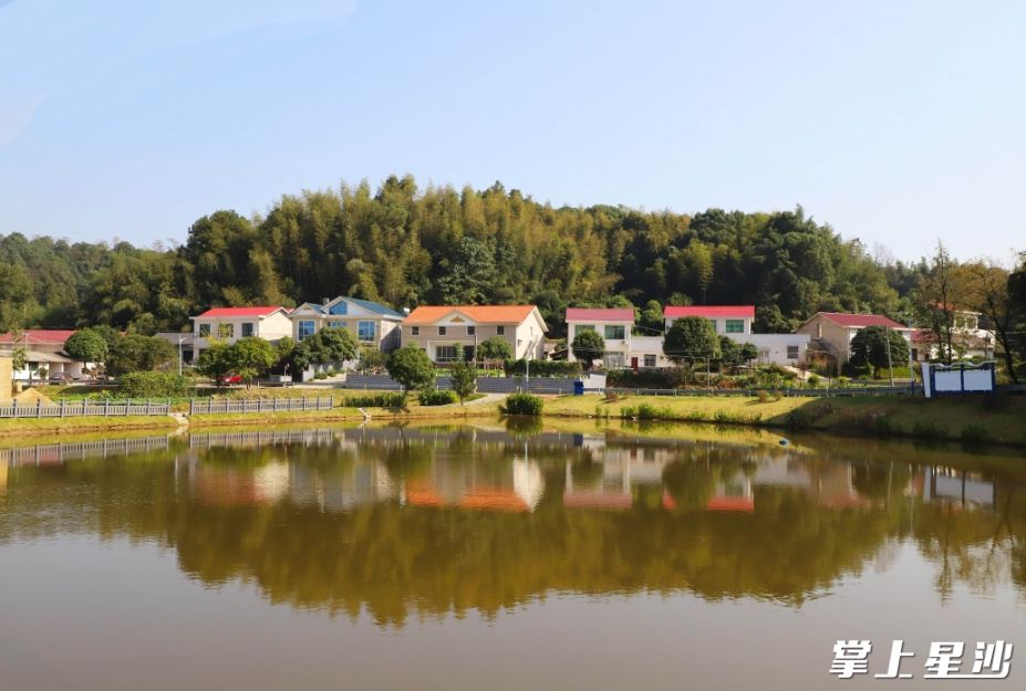 鼎功桥村石湾组宜居宜业和美乡村示范点。均为阮霖浩 摄