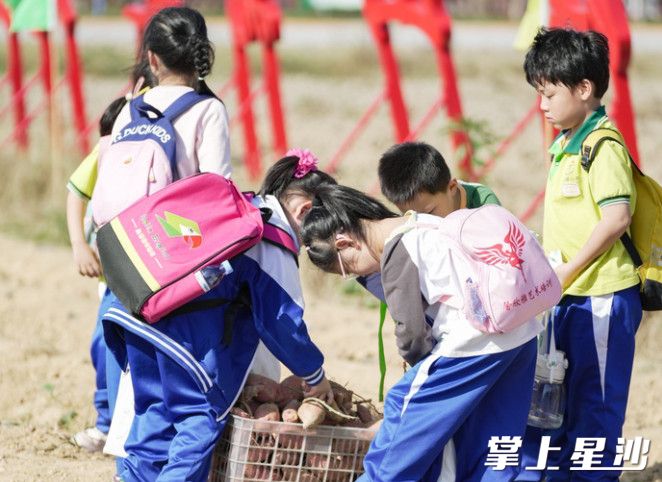 不少学子来沃园农场参加研学活动，体验农耕文化。